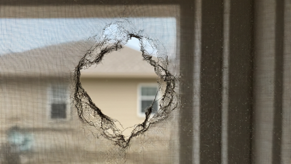 Close-up of a torn window screen in a Houston home, with visible holes and loose spline.
