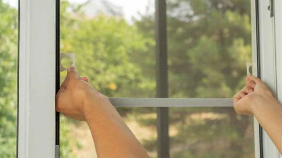 A beautiful Corpus Christi home with pristine, clear window screens.