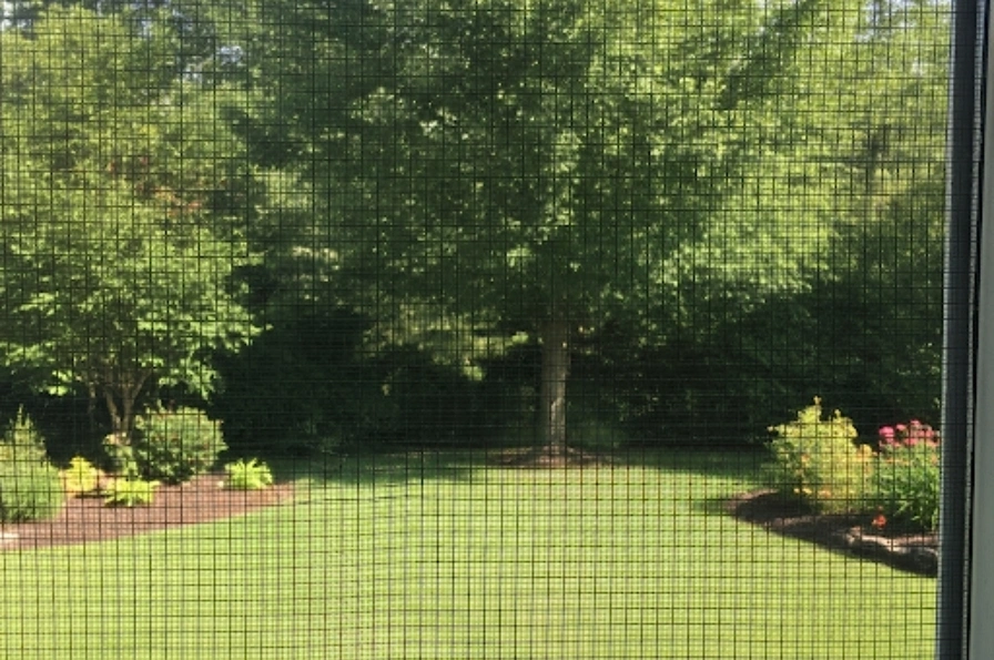 A perfectly repaired window screen in a Corpus Christi home with a clear view.