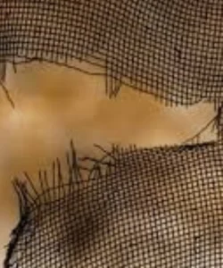 A close-up of a perfectly repaired window screen.