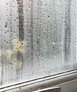 A foggy double-pane window in a Plano home, clearly showing the need for professional window seal repair.