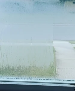 An expert technician performing a window seal repair San Antonio home.