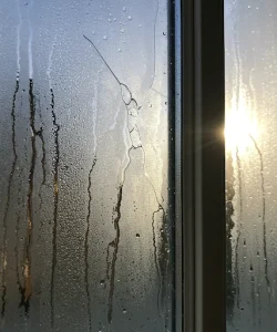 Foggy double-pane window showing failed seal in need of repair