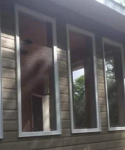 The same Austin window, now with a perfectly tight, crystal-clear new screen, enhancing curb appeal.