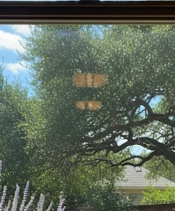 The same window, now crystal clear and energy-efficient after our expert seal repair service in Austin, TX.